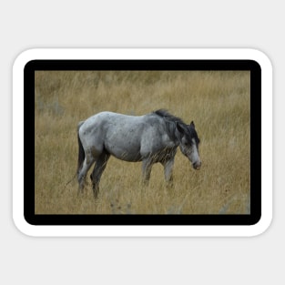 Grey Wild Horse Sticker